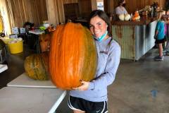 fowler-pumpkin-patch-huge-pumpkin